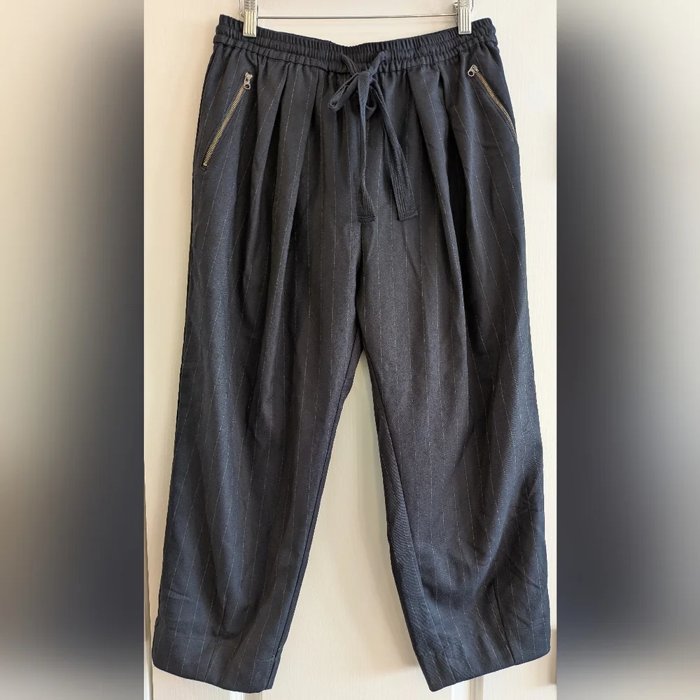 Free People Shakin All Over Pinstripe Cropped Pant Navy Blue Size‎ Academia S